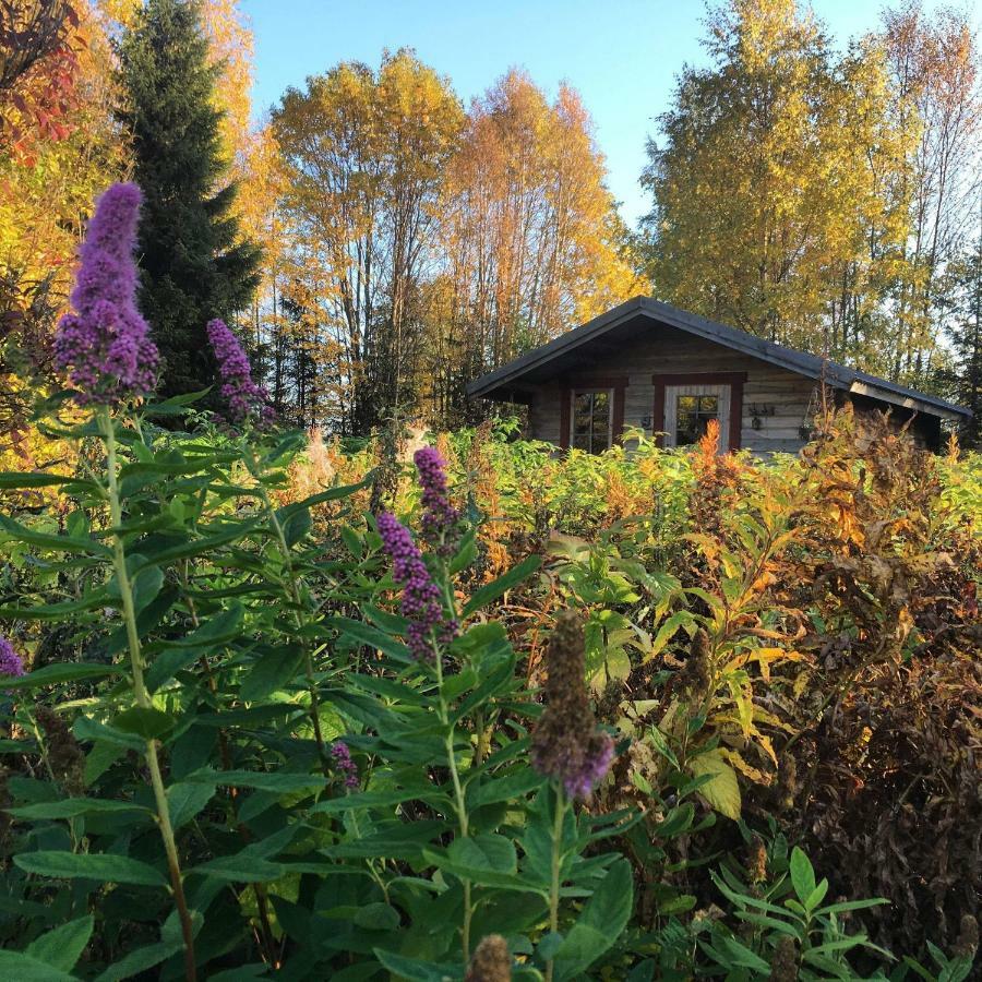 Cabin On Husky Farm Strömsund Exteriör bild